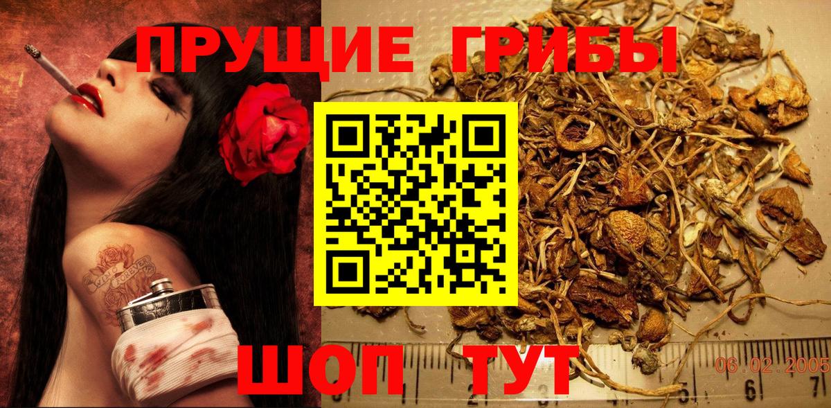 Псилоцибиновые грибы мицелий  Вход с VPN  Махачкала 